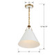 Xavier One Light Pendant (XAV-B8301-VG)
