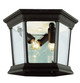 Trans Globe Imports - 4904 BK - Three Light Flushmount Lantern - San Marcos - Black