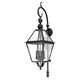 Troy Lighting - B9623-TBK - Four Light Wall Lantern - Townsend - Texture Black