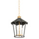 Troy Lighting - F3714-VGL/FRN - Three Light Lantern - Wildomar - Vintage Gold Leaf/French Iron