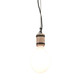 Troy Lighting - F4554 - One Light Pendant - Fulton - Rusty Iron W Salvaged Wood