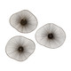 Avarie Wall Art Set/3 (04182)