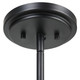Suva Four Light Pendant (21589)