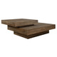 Rustic Planes Coffee Table (24400)