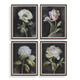 Uttermost - 32426 - Framed Prints Set/4 - Florals On Black - Dark Brown