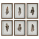 Uttermost - 41460 - Framed Prints S/6 - Birds Of A Feather - Natural Wood Tone