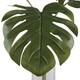 Ibero Leaf Palm (60181)