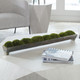 Canal Centerpiece (60193)