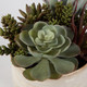 Mesa Succulent Succulent Accent (60209)