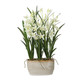 Uttermost - 60227 - Planter - Ariana Orchid - Cream
