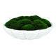 Uttermost - 60232 - Centerpiece - Awaken Moss - Ivory
