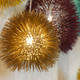 Urchin One Light Mini Pendant (169M01SGO)