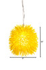 Urchin One Light Mini Pendant (169M01YE)