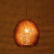 Urchin One Light Pendant (169P01GO)