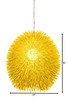 Urchin One Light Pendant (169P01YE)