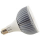 Light Bulb (S13152)