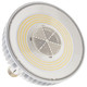 Light Bulb (S13155)