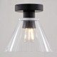 Dalton One Light Flush Mount (C0322)