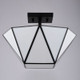 Burnett Two Light Semi-Flush Mount (C0330)