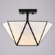 Burnett Two Light Semi-Flush Mount (C0330)