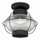 Vaxcel - T0144 - One Light Outdoor Semi Flush Mount - Chatham - Textured Black
