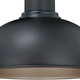 Franklin One Light Outdoor Pendant (T0152)