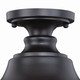 Delano One Light Outdoor Flush Mount (T0315)