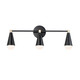 Maxim - FRD06BK - Down Rod - Accessories - Black