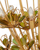 Midsummer Nine Light Chandelier (9000-1199)