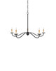 Saxon Five Light Chandelier (9000-1257)