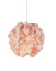 Currey and Company - 9000-1267 - One Light Pendant - Clio - Rose/Brass