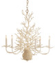 Currey and Company - 9218 - Six Light Chandelier - Seaward - White Coral/Natural Sand