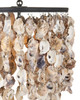 Oyster Shell Five Light Chandelier (9492)