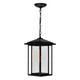Crawford One Light Outdoor Hanging Lantern (0417P9-1-101)