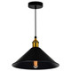 Brave One Light Mini Pendant (9605P10-1-101-B)
