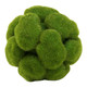 Cyan - 02607 - Sphere - Fillers - Moss Green