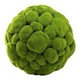 Cyan - 02608 - Sphere - Fillers - Moss Green