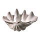 Cyan - 02799 - Sculpture - Clam Shell - White