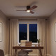Volos 48"Ceiling Fan (300032SNB)