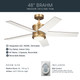 Brahm 48"Ceiling Fan (300048NBR)