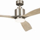 Ridley II 60"Ceiling Fan (300075AP)