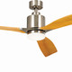Ridley II 60"Ceiling Fan (300075BSS) Ridley II 60"Ceiling Fan (300075BSS)