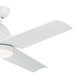 Fit 54"Ceiling Fan (310254WH)