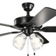 Basics Pro Premier 52"Ceiling Fan (330016SBKS)