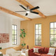 Lucian Elite XL 60" Ceiling Fan (330060PN)