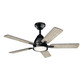 Arvada 44"Ceiling Fan (330090SBK) Arvada 44"Ceiling Fan (330090SBK)
