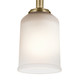 Shailene One Light Mini Pendant (43674NBR)