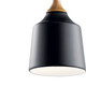 Danika One Light Mini Pendant (43682BK)