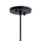 Danika One Light Pendant (43683BK)