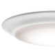 manufacturer_glass:Polycarbonate Diffuser|color_temperature:2700K